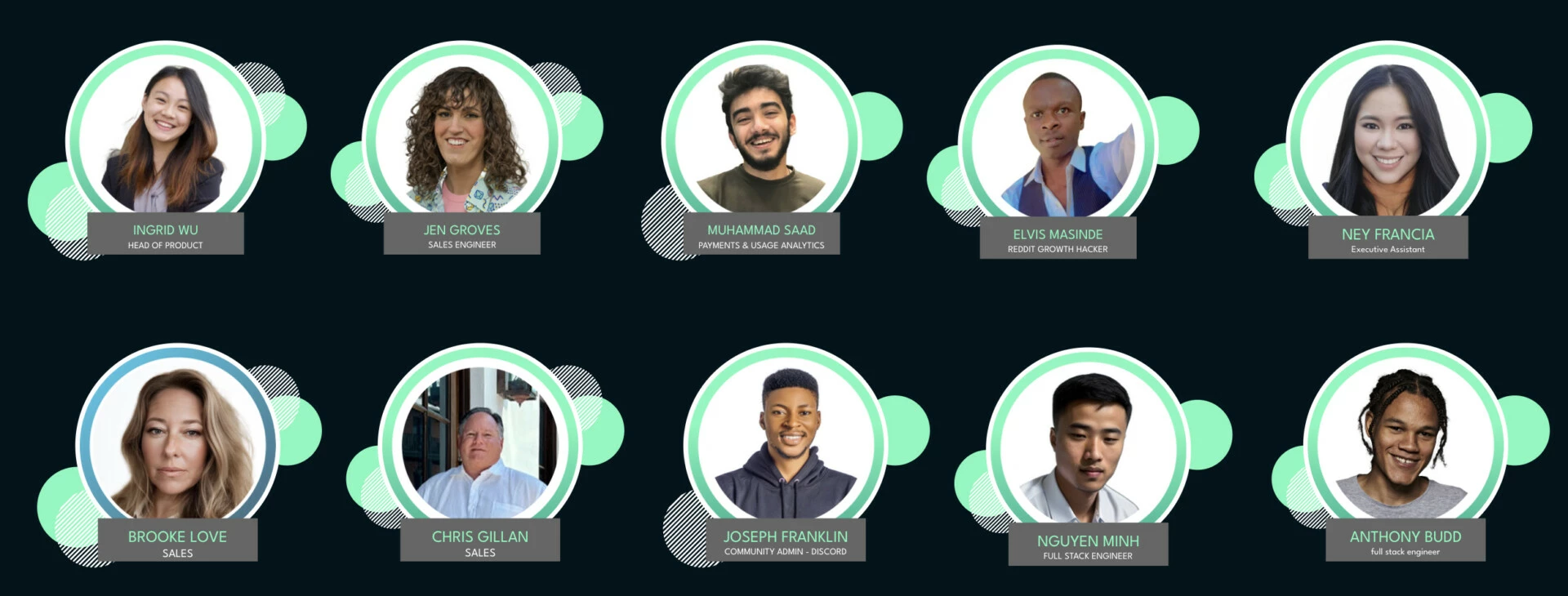 New Team Members
