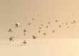 A swarm of abstract geometric shapes in muted tones suggesting collaboration.
