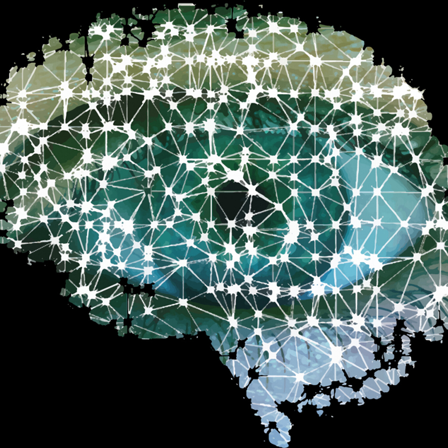 Intricate brain representation with nodes and lines.