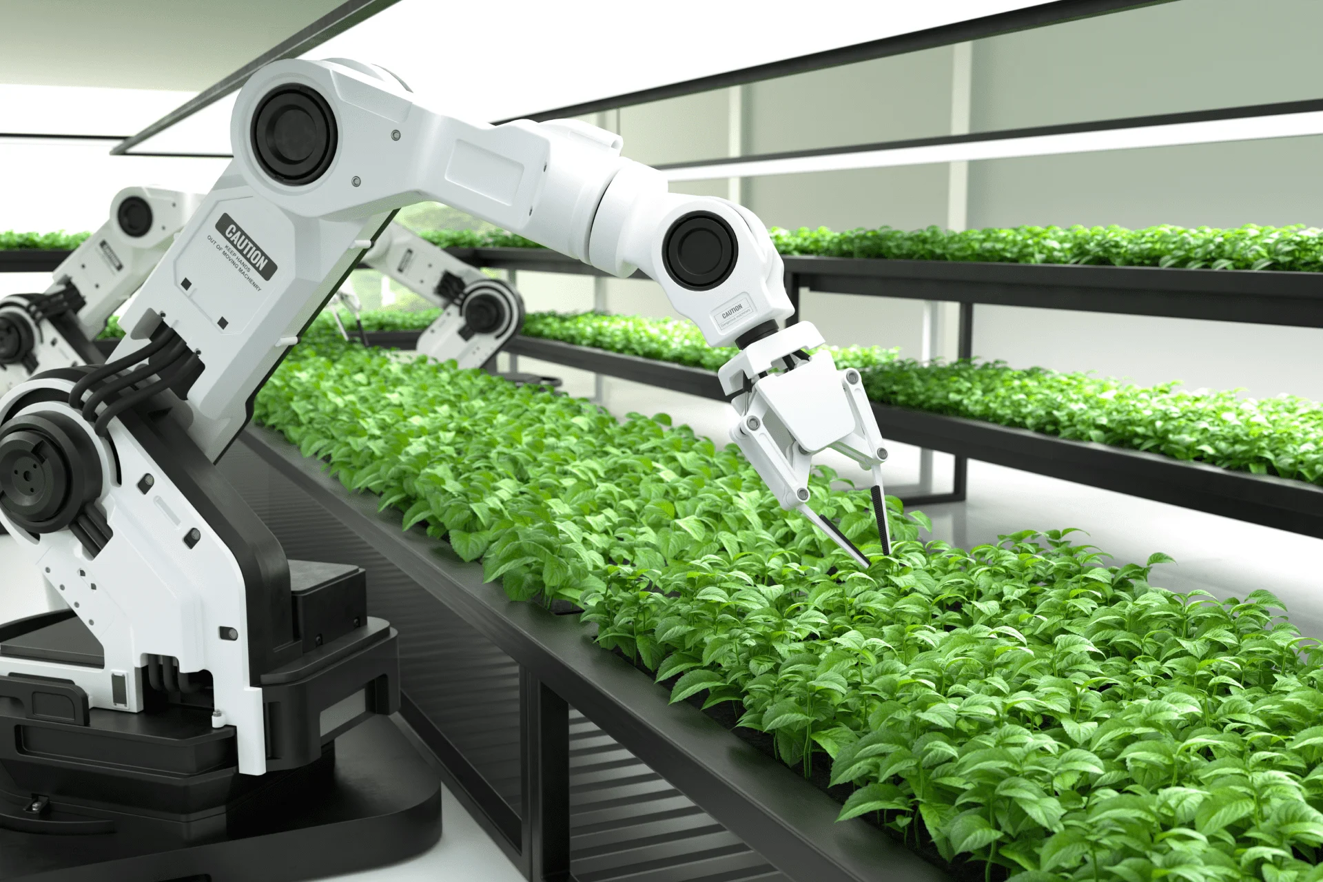 Robotic arms tending to green plants in modern farming.