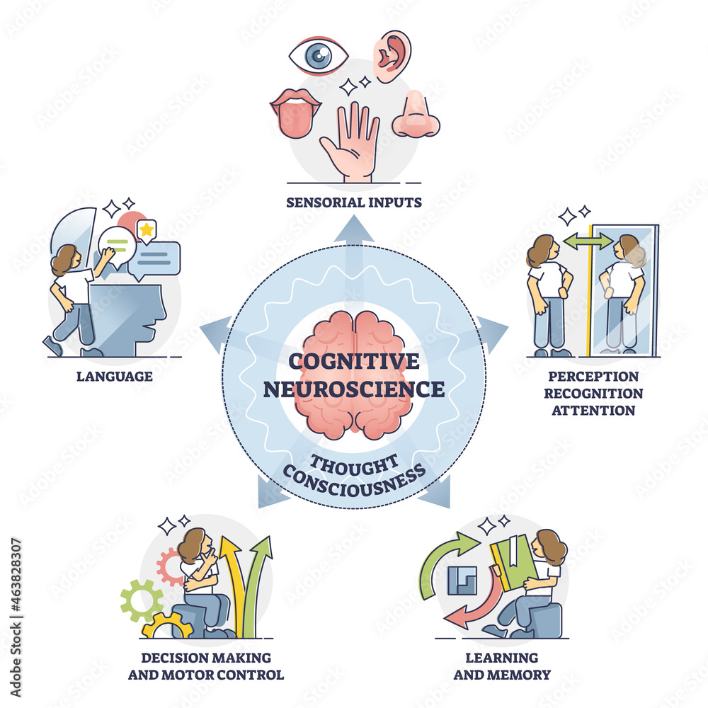 Graphic showing sensory inputs in cognitive neuroscience.