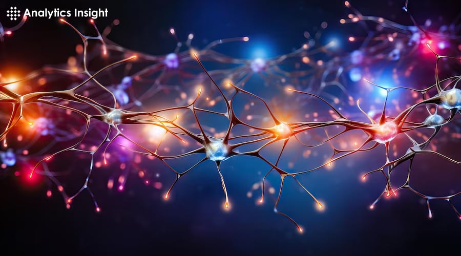 A vibrant network of interconnected neurons illuminated with colorful lights.