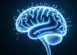 A surreal photorealistic close-up of a human brain with glowing neural networks and synapses firing.