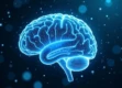 A close-up of a translucent human brain made of glowing blue circuitry and neural networks against a dark background.